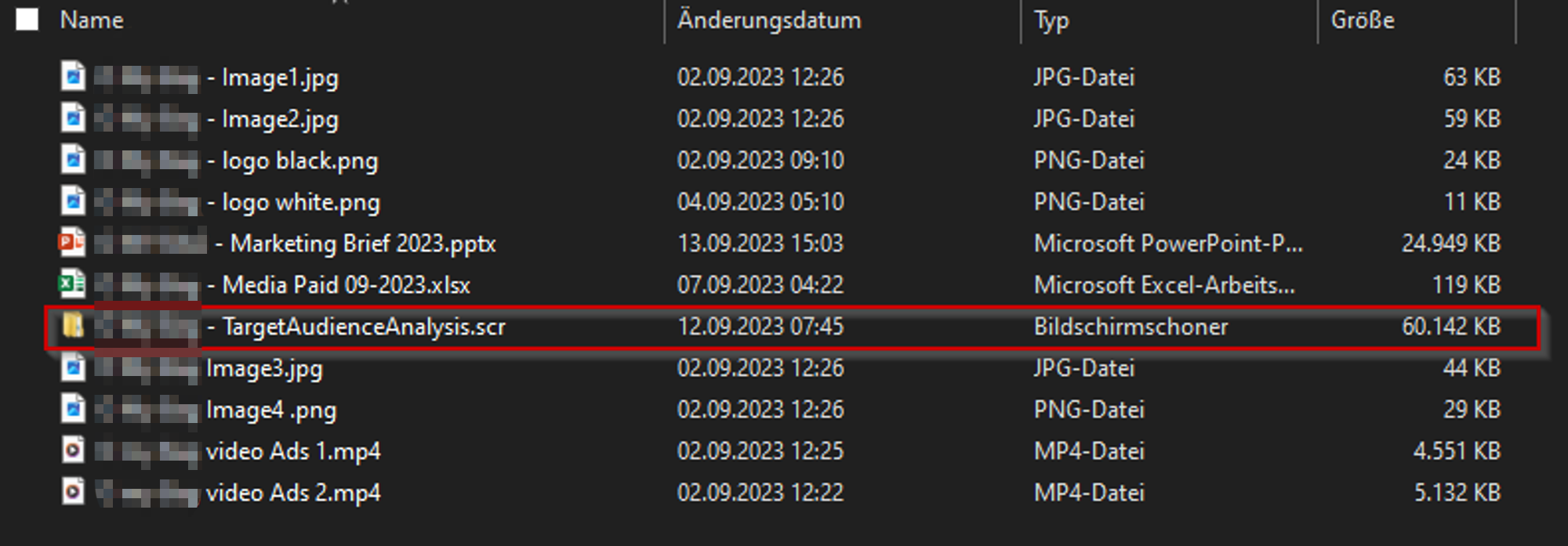 Screenshot with a file listing from Windows Explorer; the malicious file is marked with a red border around it.